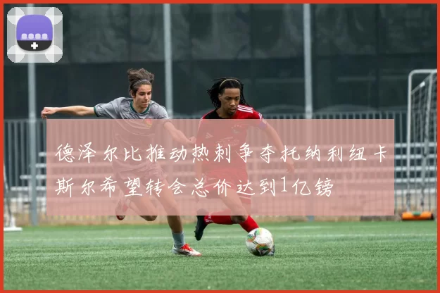 德泽尔比推动热刺争夺托纳利纽卡斯尔希望转会总价达到1亿镑